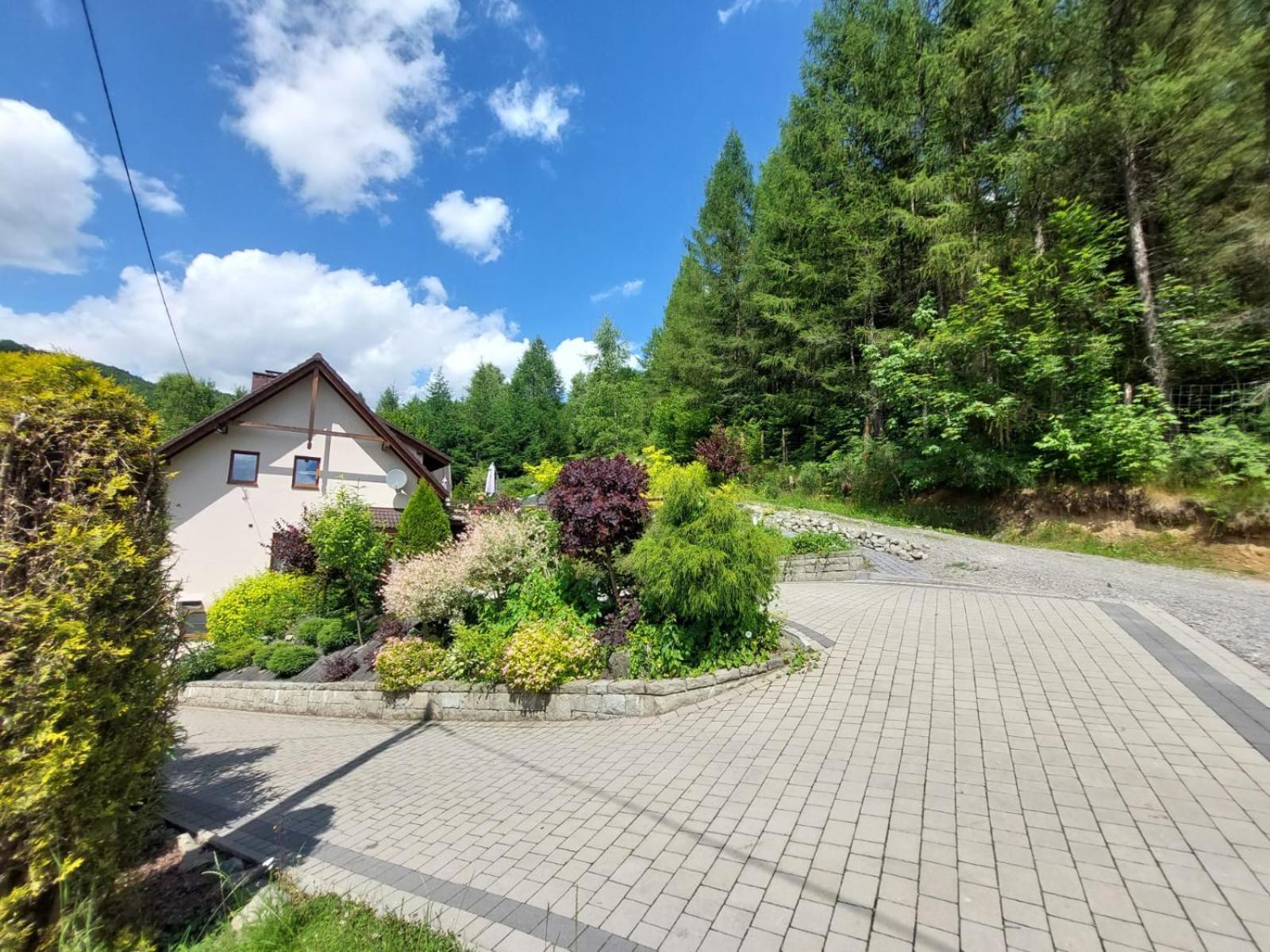 Apartamenty Nad Strumykiem Бренна Екстер'єр фото